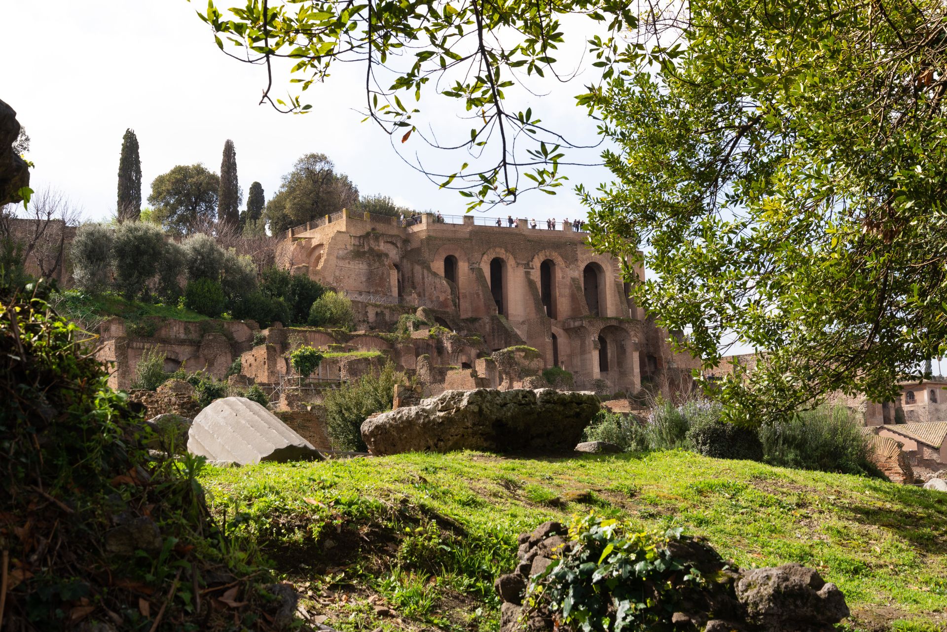 Palatino-hill-view-from-Roman-Forum-Rome-Italy