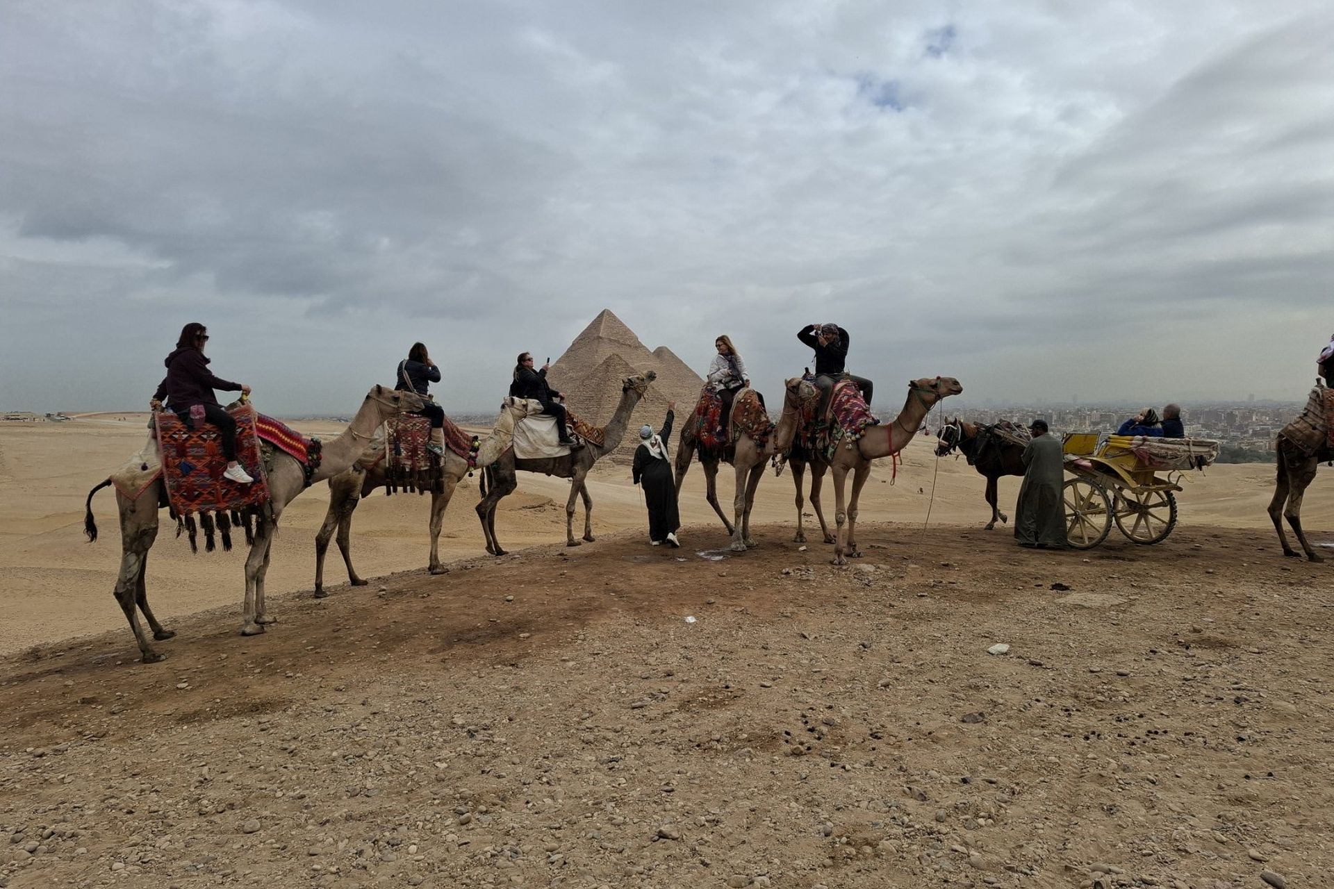 Camels Pyramids Egypt IMG_4346