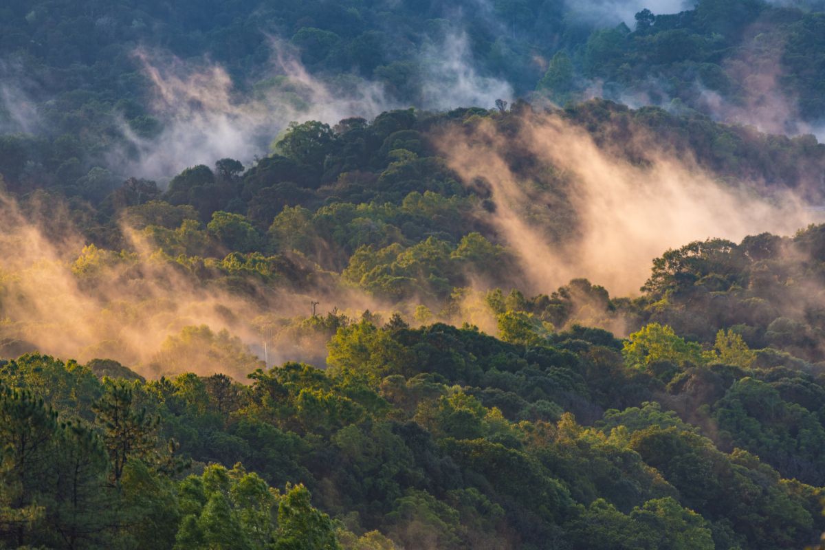 Mountains during sunset. Beautiful natural landscape in the summer time