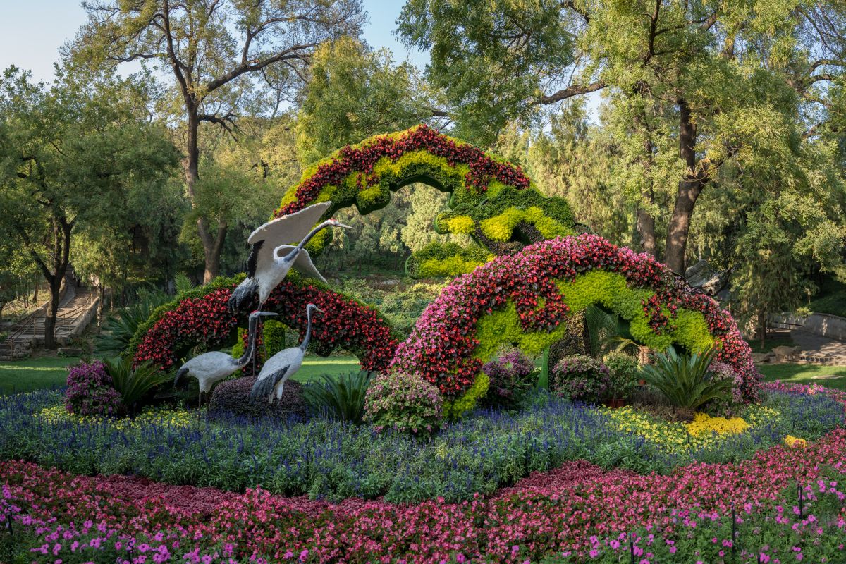 detail-of-floral-display-at-the-emperor-summer-pal-2026-03-26-11-34-39-utc CHINA